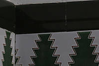 MG_1610estjpg100.jpg