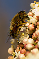 MG_1622-2.jpg