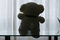 MG_1830b.JPG