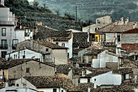 MG_1849_8_7.jpg