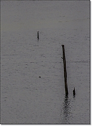 MG_18681.JPG