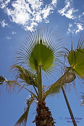 MG_22321.jpg