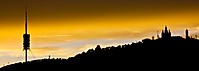 MG_2453.jpg