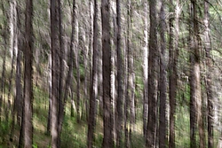 MG_27582.jpg