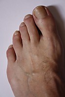MG_2803.JPG