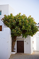 MG_2898-1.jpg