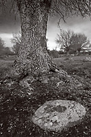 MG_3045-Edit-3.jpg