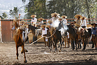 MG_3046_Otro_pial_chorreado_.jpg