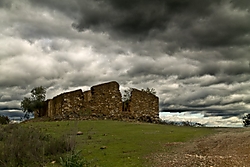 MG_3110_800x600_.jpg