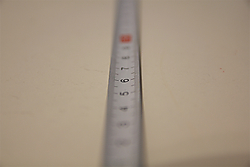 MG_3114.jpg