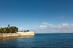 MG_3164-.jpg