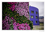 MG_3184-1-marco.jpg