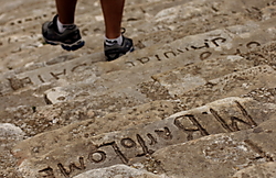 MG_3354.JPG