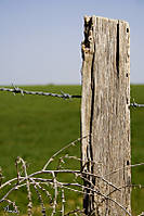 MG_4367.jpg