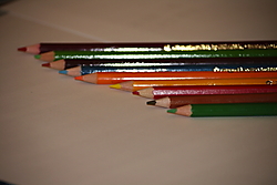MG_446812.JPG