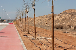 MG_4808.JPG
