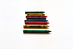 MG_48862.JPG