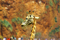 MG_5104_copia.jpg