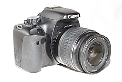 MG_51953.JPG
