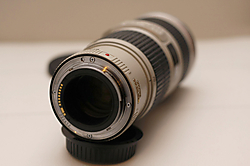 MG_53823.JPG