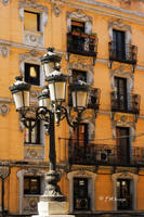 MG_5460.jpg