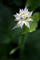 MG_5675-PS1_50_.jpg
