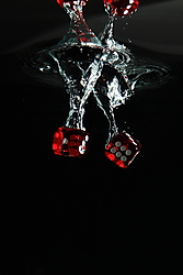 MG_57061.JPG