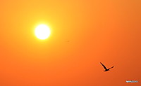 atardecer MG_58432.JPG