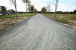 MG_58541.JPG
