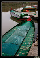 MG_5857-palmar-barques_verdes.jpg