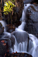 MG_6281.jpg