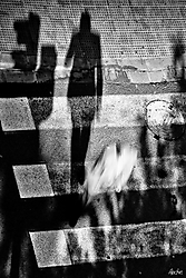 MG_6333-2.jpg