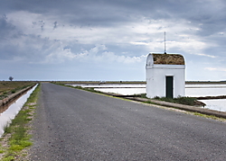 MG_6342.jpg