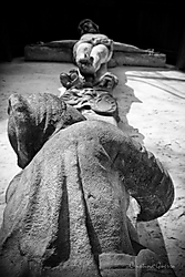 MG_6444-Edit.jpg