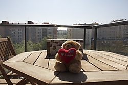 MG_65863.jpg