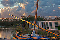MG_6635.jpg