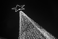 MG_6835_Navidad.jpg