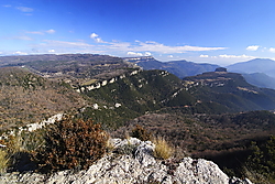 MG_6849_enfocada.JPG