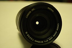 MG_71084.jpg