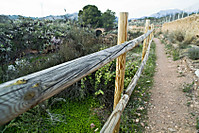 MG_7352.jpg