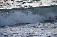 MG_75231.jpg