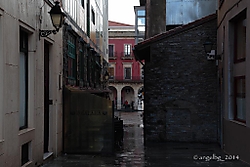 MG_78081.jpg