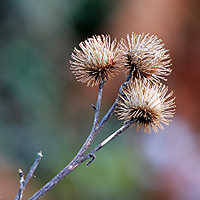 MG_79201.jpg