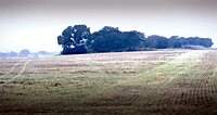 MG_7948.gif