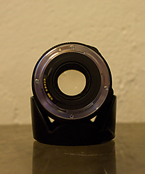 MG_8032ca.jpg