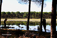 MG_8122.JPG