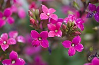 MG_81671.jpg