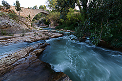 MG_82191.jpg