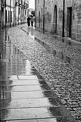 MG_8439-2.jpg