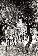 MG_8446.jpg